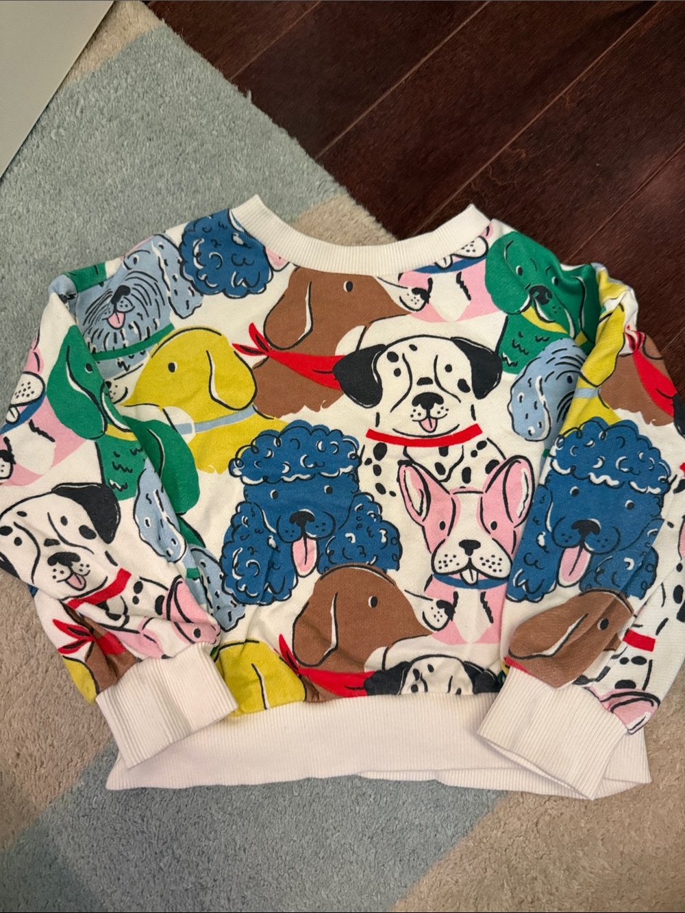 Mini Boden Multicolor Dog Pattern Sweatshirt
